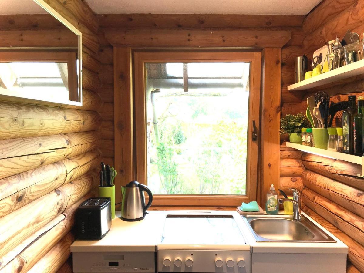 Eifel-Lounge Blockhaus Mit Kamin Garten Balkon Nahe Koeln Therme Bruehl Phantasialand Вайлерсвист Экстерьер фото