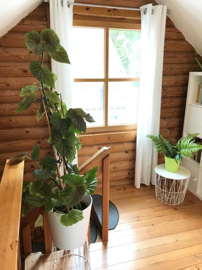 Eifel-Lounge Blockhaus Mit Kamin Garten Balkon Nahe Koeln Therme Bruehl Phantasialand Вайлерсвист Экстерьер фото